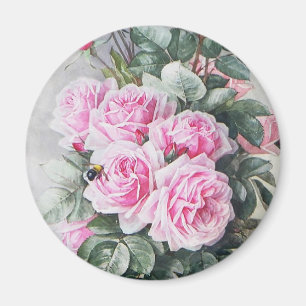 Íman Buquê cor-de-rosa dos rosas do vintage