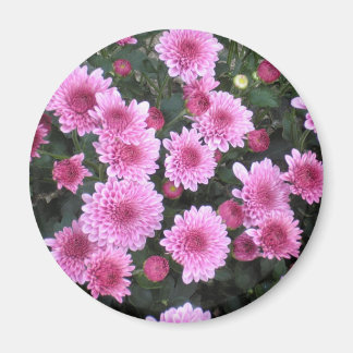 Íman Buquê da Natureza: Primavera