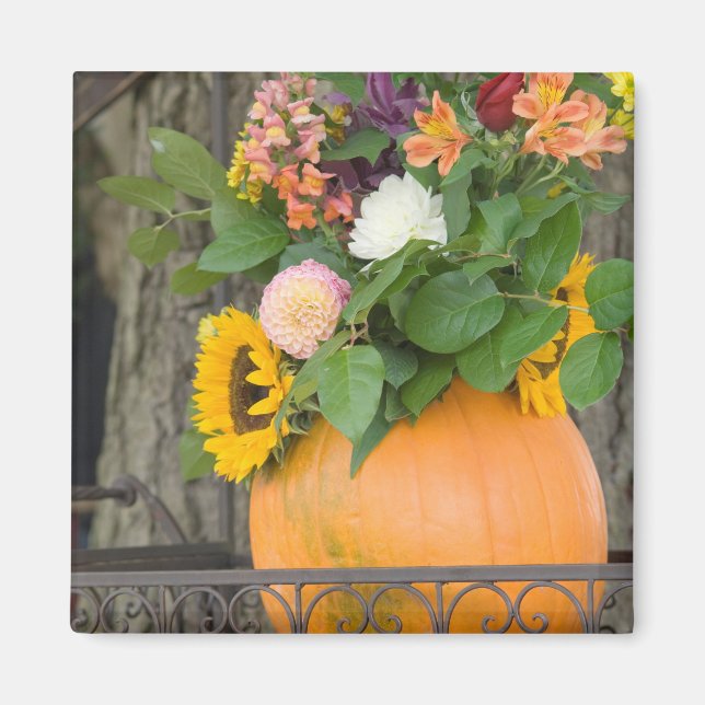 Íman Buquê de Abóbora de outono (Frente)