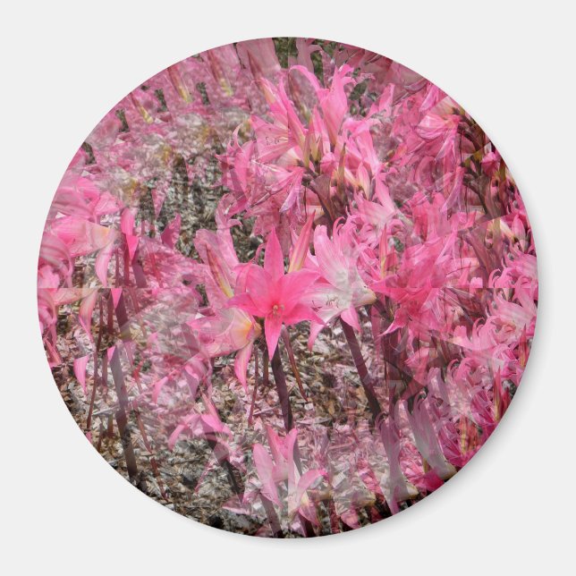 Íman Buquê de Amaryllis..... (Frente)