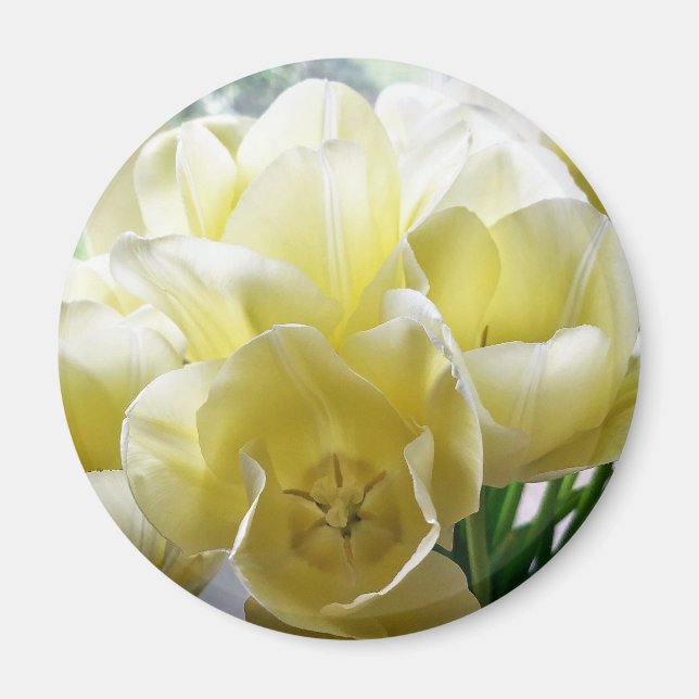 Íman Buquê de Tulipa Amarelo (Frente)