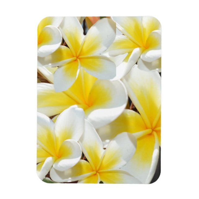 Íman Buquê Frangipani, ímã flexível (Vertical)