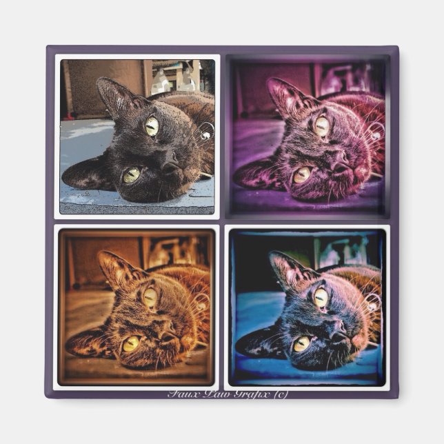 Íman Burmese Cubed (Frente)