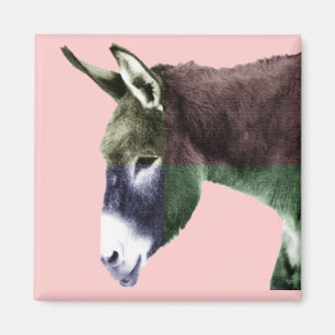 Íman Burro de muitas cores - colora-me amantes dos