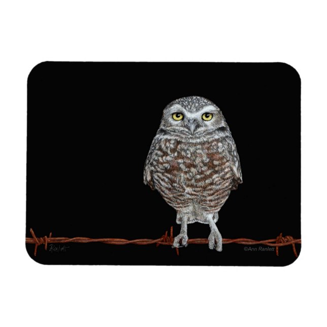 Íman Burrowing Owl (Horizontal)