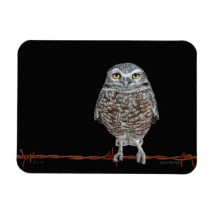 Íman Burrowing Owl Magnet