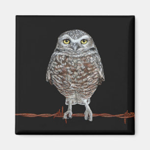 Íman Burrowing Owl Magnet