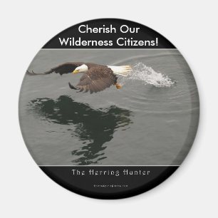 Íman Busca do Item de Presente da Águia Cálida