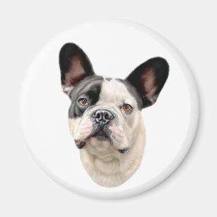 Íman Busto de BW do buldogue francês