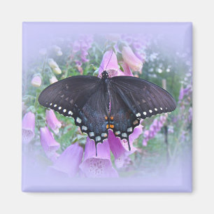 Íman Butterfly