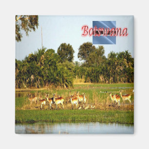 Íman BW - Botsuana - Grupo das Mulheres Lechwe
