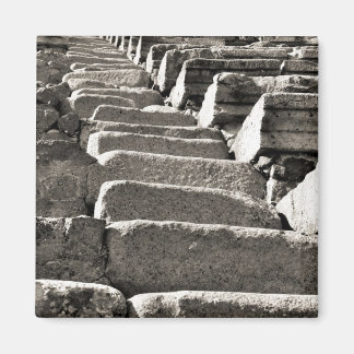 Íman BW Pompeia Ruínas VI