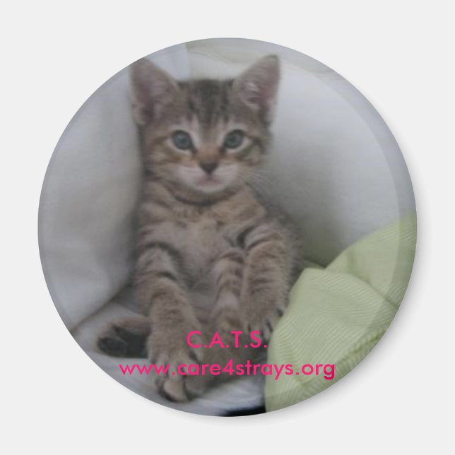 Íman C.A.T.S. Magnet: (Frente)