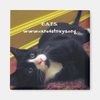 Íman C.A.T.S. Magnet: