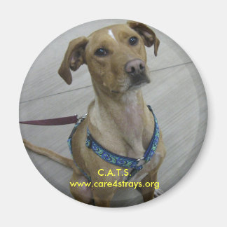 Íman C.A.T.S. Magnet