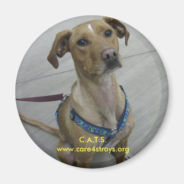 Íman C.A.T.S. Magnet (Frente)