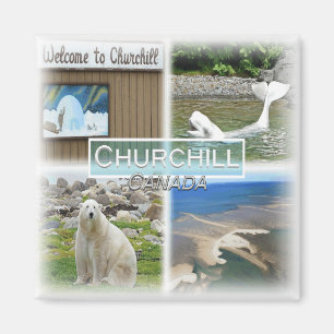 Íman CA0029 America, Canada, Churchill, Welcome Fridge