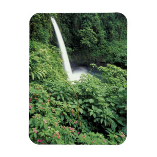 Íman CA, Costa Rica. Cachoeira La Paz e impatientes