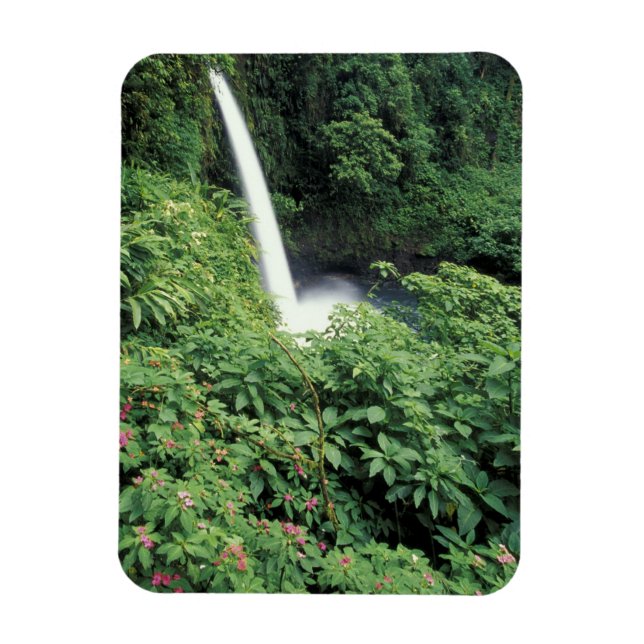 Íman CA, Costa Rica. Cachoeira La Paz e impatientes (Vertical)