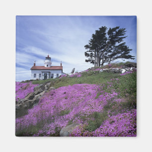 Íman CA, Crescent City, farol de Battery Point com
