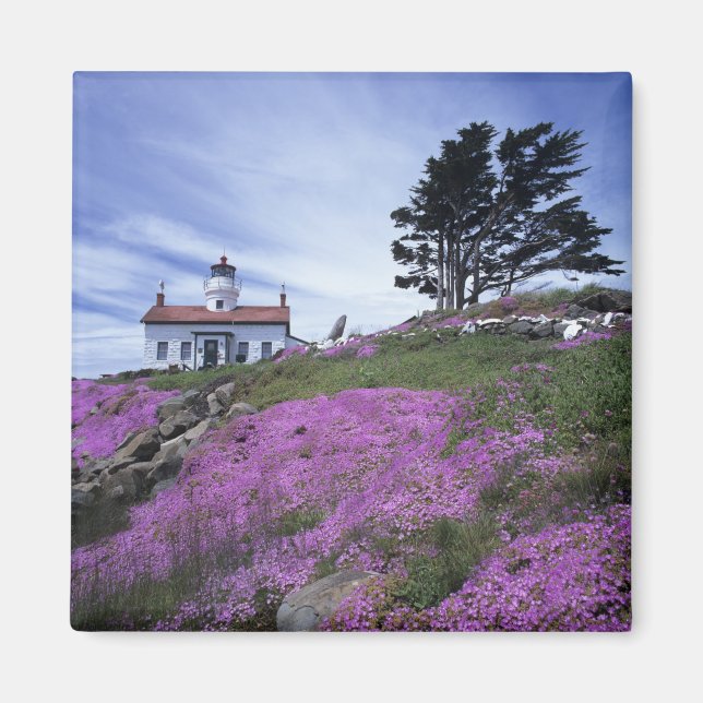 Íman CA, Crescent City, farol de Battery Point com (Frente)