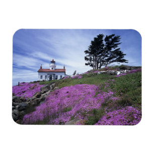 Íman CA, Crescent City, farol de Battery Point com