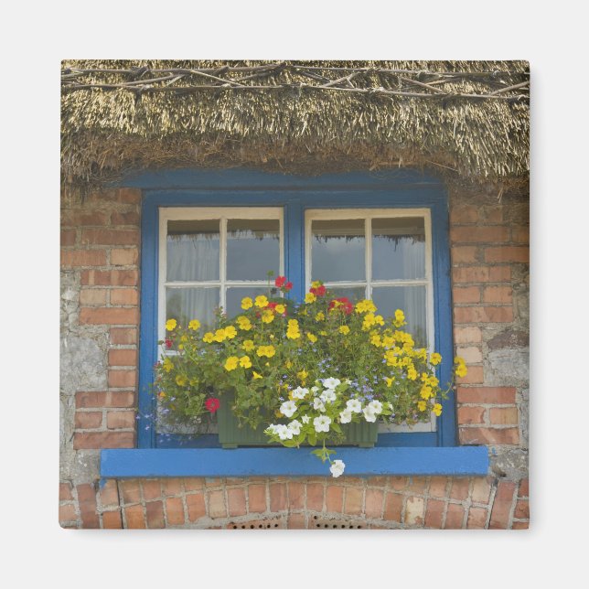 Íman Cabana de colmo, Adare, Condado de Limerick, (Frente)
