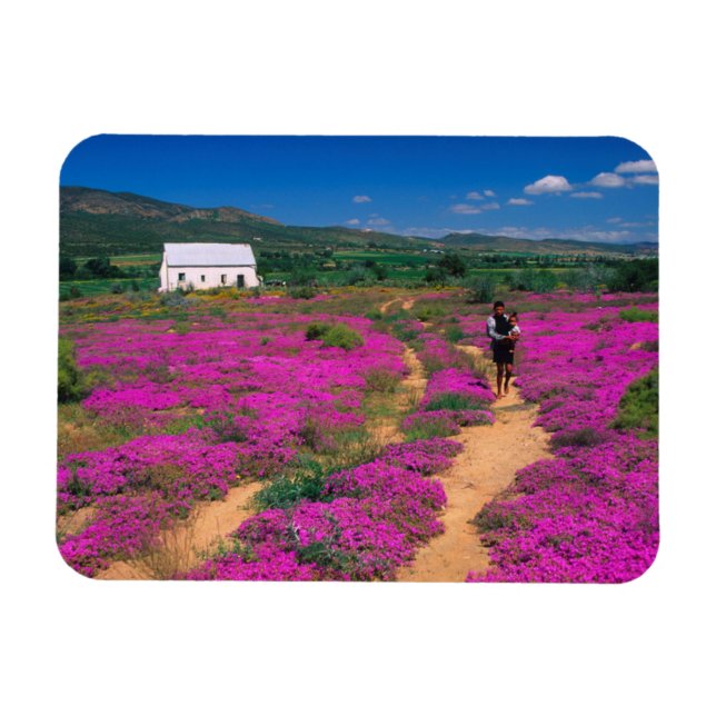 Íman Cabana, Flores E Menina, Perto De Kamieskroon (Horizontal)