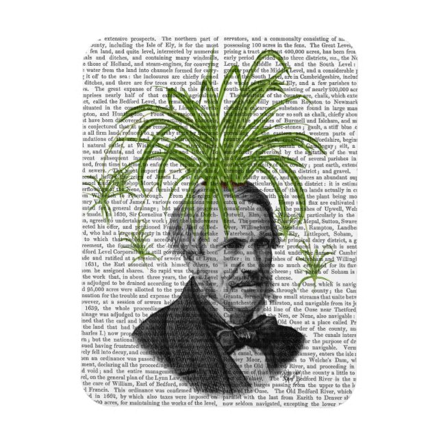 Íman Cabeça de aranha (Vertical)