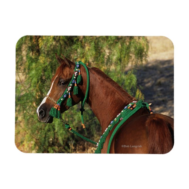 Íman Cabeça de Cavalo Árabe com Bridle (Horizontal)