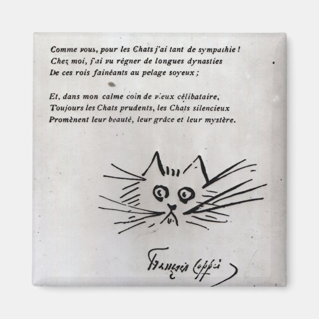 Íman Cabeça de gato (Frente)