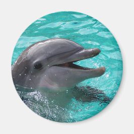 Íman Cabeça de golfinho em água aquamarina