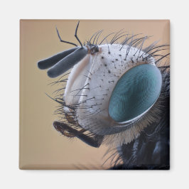 Íman Cabeça de Insetos de Fechamento