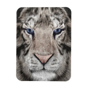 Íman Cabeça de Tigre Branco Estética da Vida Selvagem