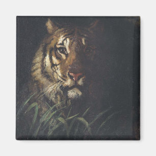 Íman Cabeça de Tigre (por Abott Handerson Thayer)
