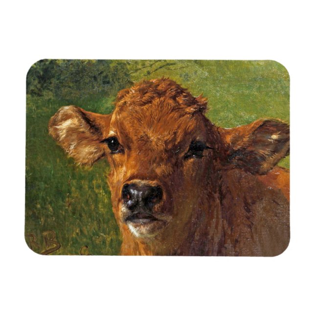 Íman Cabeça de um Bezerro (por Rosa Bonheur) (Horizontal)