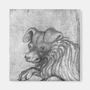 Íman Cabeça de um cão, o do álbum de Vallardi