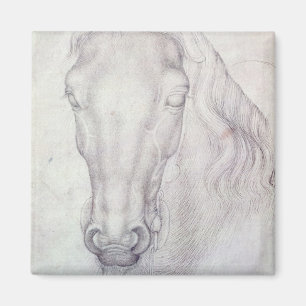 Íman Cabeça de um cavalo