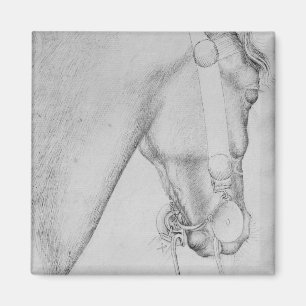 Íman Cabeça de um cavalo, o do álbum de Vallardi