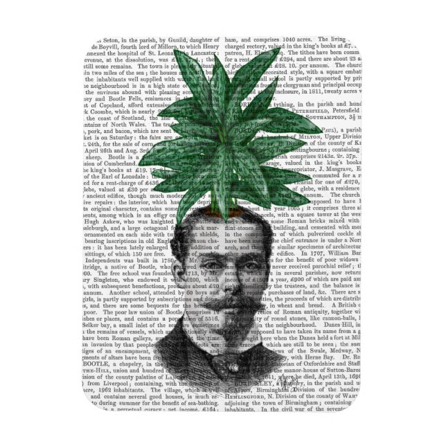 Íman Cabeça Verde Chinesa (Vertical)