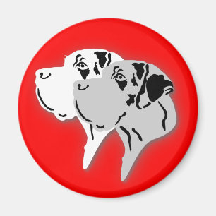 Íman Cabeças de Harlequim e Dane Merle