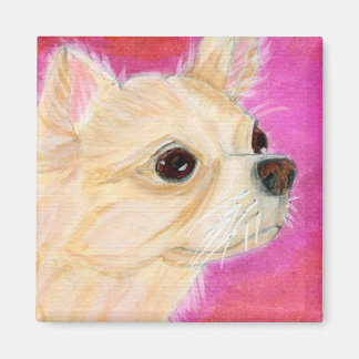 Íman Cabelos longos Chihuahua