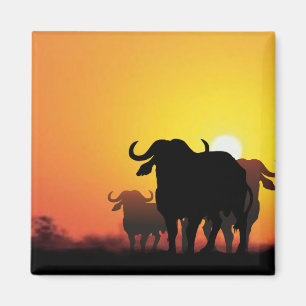 Íman Cabo Buffalo