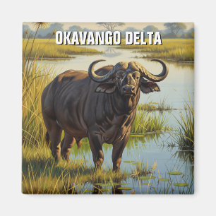 Íman Cabo Buffalo no Delta de Okavango