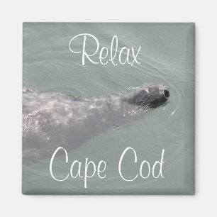 Íman Cabo Cod, Foca Flutuante Relaxante Ímã