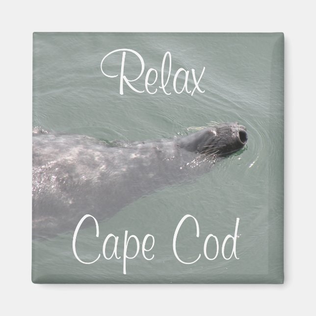 Íman Cabo Cod, Foca Flutuante Relaxante Ímã (Frente)