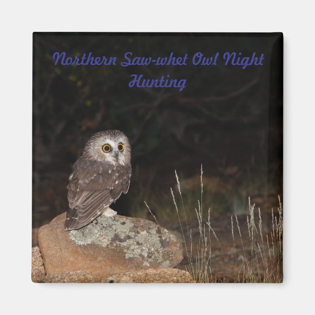 Íman Caça à Noite de norte de Saw-whet Owl (Frente)