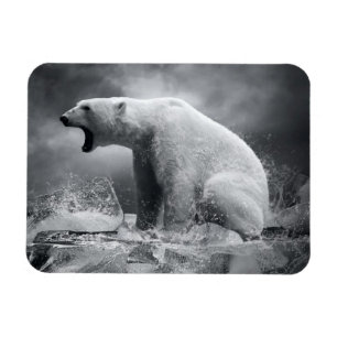 Íman Caçador branco do urso polar no gelo na água