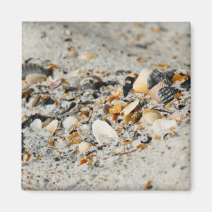 Íman Cache de Shell