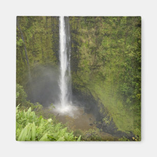 Íman Cachoeira Akaka, Costa de Hamakua, Ilha do Havaí,